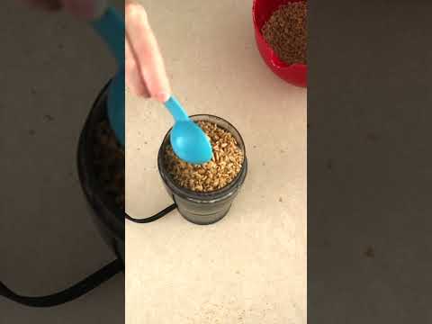 How To Make Sunflower Seed Flour (Sunflour) in 5 Minutes