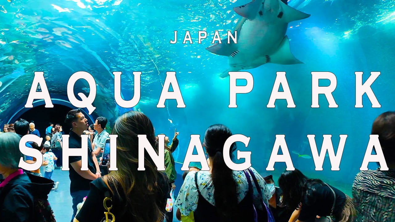 Aqua park shinagawa 4K Walking Tour (Tokyo Japan)-Tour with
