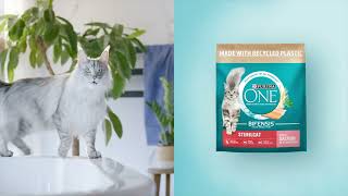 Purina One Bifensis Resimi