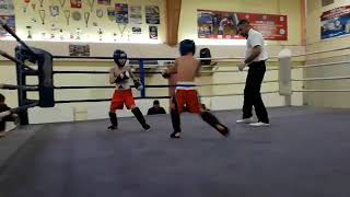 Andria Sxuluxia Kick Boks 2019 Wlis 21 Dekemberi. I Chxubi