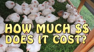 Cost Of Raising Meat Chickens ~ Breakdown Per Chicken!