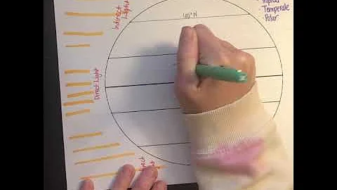 Climate Zones - Tropical Temperate Polar