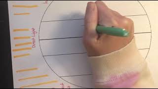 Climate Zones - Tropical Temperate Polar