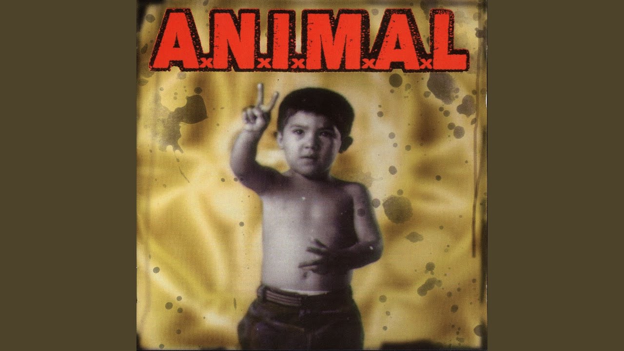 Watch Falsedad on YouTube Watch Falsedad on YouTube