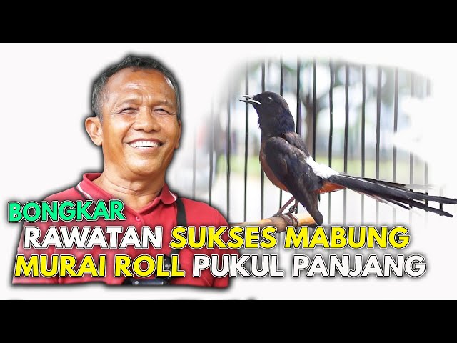 THE NEXT JAWARA ROLL PUKUL VOLUME DAN MATERI SELERA JURI BLOK TIMUR ? class=