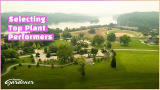 Plantings for a Public Space | Volunteer Gardener by Volunteer Gardener 892 views 2 weeks ago 8 minutes, 12 seconds