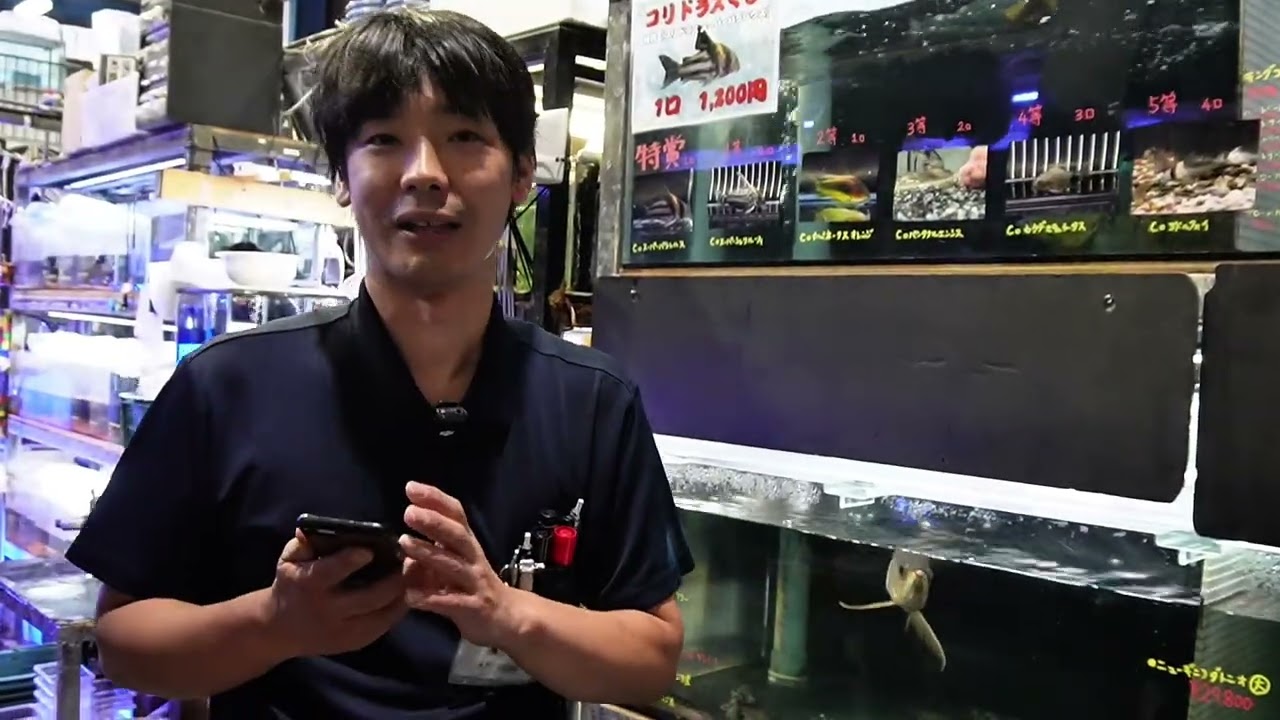 老舗　nectar フィッシュ Tropical Fish] Rare Freshwater Fish Arriving One After Another