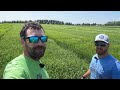Barley demo plots early tour 2025