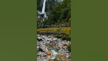 سورة القدر للقارئ #بندر_بليلة #قرآن #مكة #الحرم_المكي #اكسبلور_فولو #youtube #youtube #فوائد #fyp