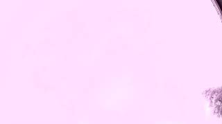 IMX585 IR 110 deg DFOV