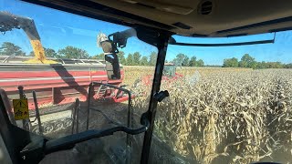 картинка: Завершение уборки кукурузы в округах Лоуренс и Уобаш, штат Иллинойс (27–30-й день уборки) S6 E30