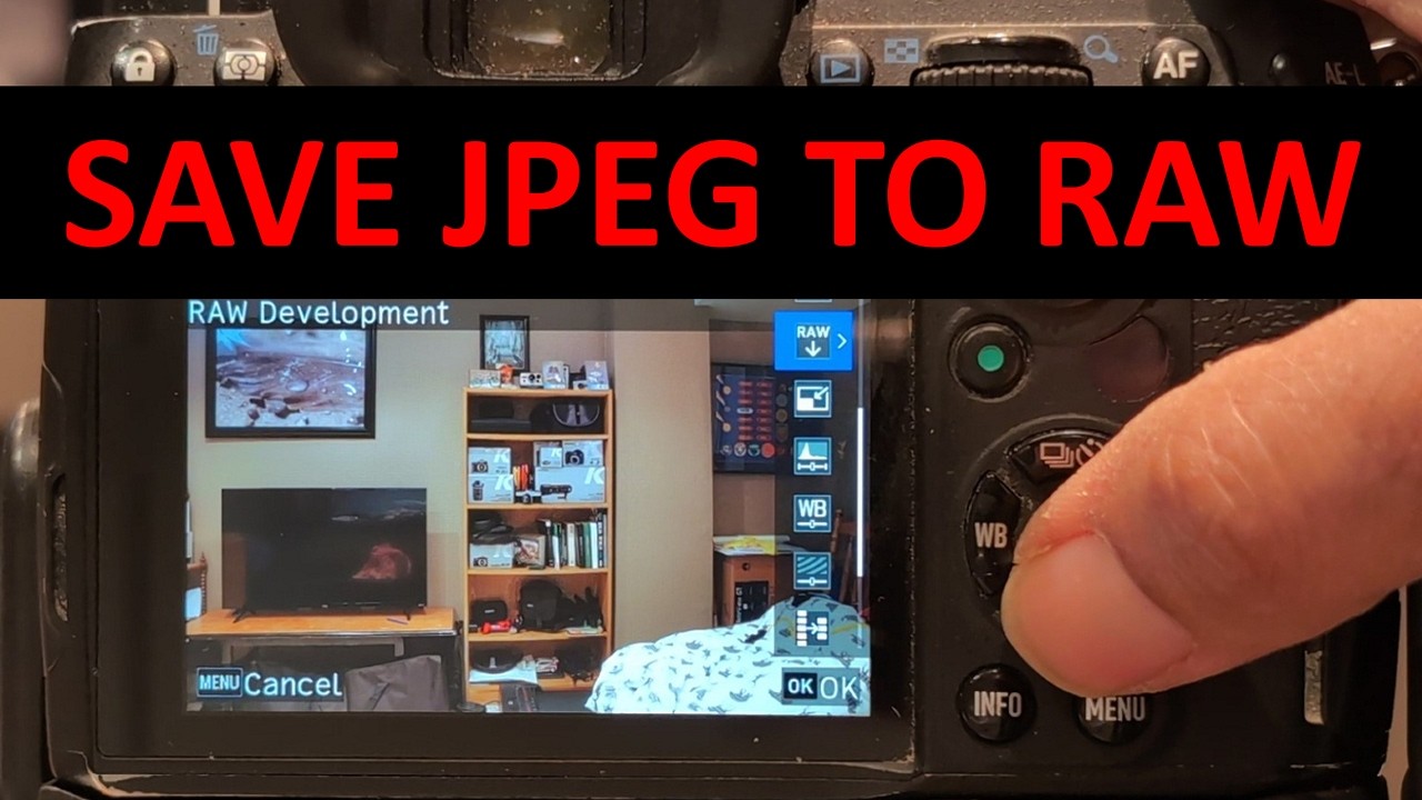 Самая малообсуждаемая функция PENTAX за всю историю: сохранение JPEG-файла в RAW.