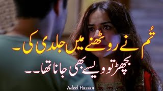 2 Line Sad Poetry Jhon Elia Heart Touching Shayrisad Shayri Rj Adeel Poetry