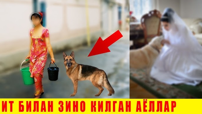 Pikap kiyimdagi porno Pornoda mutlaqo josuslik