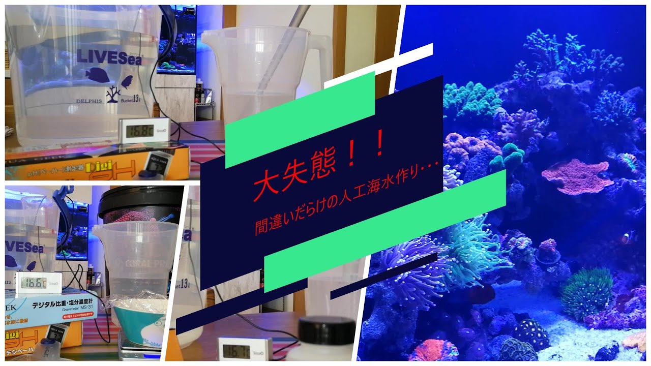 海水水槽フルセット 人工海水の元付き ライト・照明器具