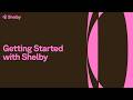 Developer Tutorial for Shelby Devnet