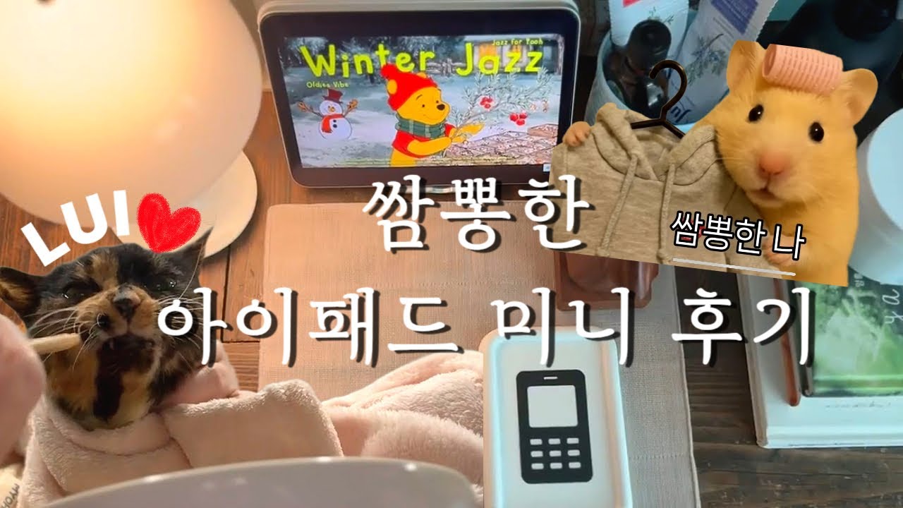 쌈뽕한 아이패드 미니 후기/첫눈오는날 한가대로에서 소고기먹방/새로 오픈한 삼원가든 별채/자꾸 기력이 떨어지는 신부전말기 고양이 루이소식.....