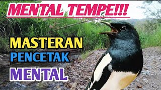 KACER TAKUT MUSUH? MENTAL TEMPE JADI PREMAN PAKE MASTERAN INI