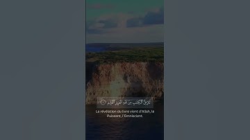سورة غافر #quran #allah #bismillah #ghafir #prophetmuhammad