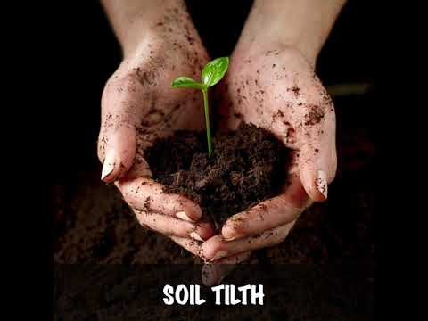 Potting Soils - Plan 