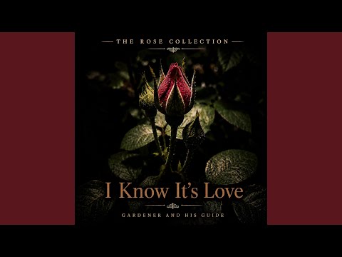 I Know Its Love