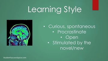MBTI Perceiving Learning Style