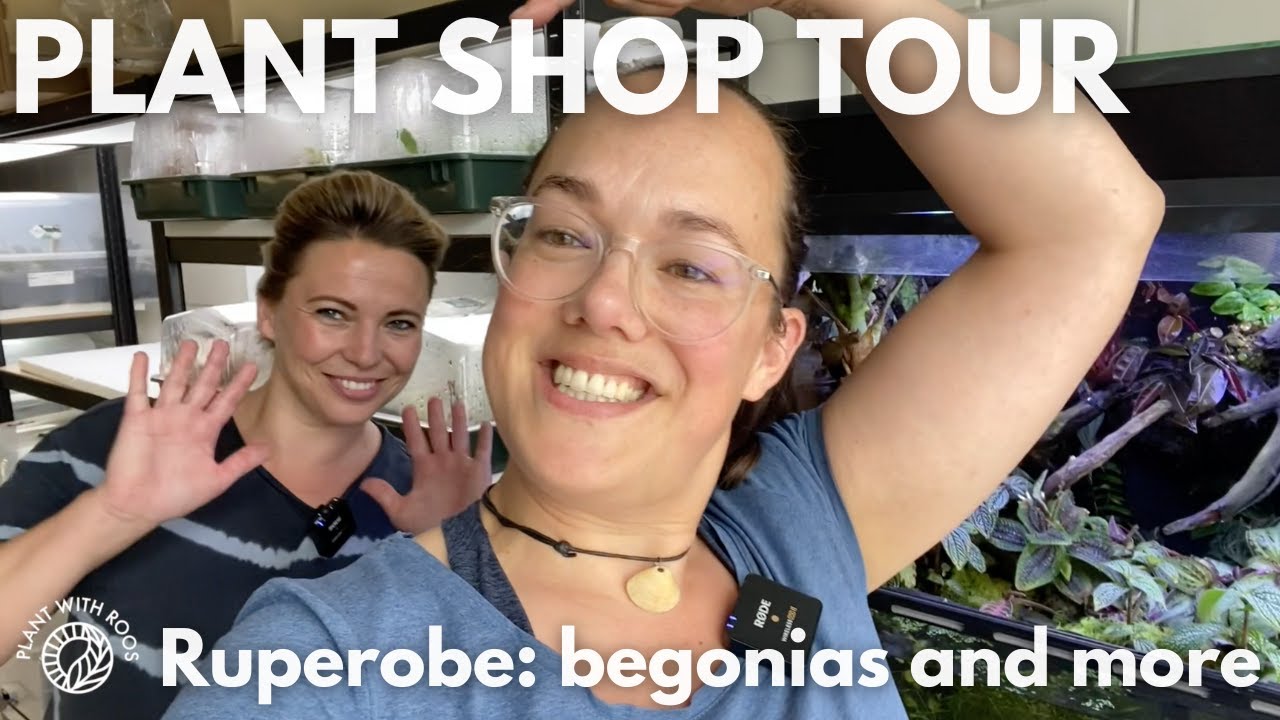Terrarium plant heaven revisited ft Ruperobe | Plant with Roos