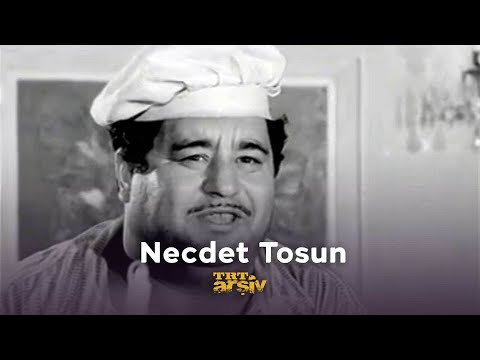 Necdet Tosun | TRT Arşiv