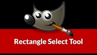 Famous Rectangle Select Tool in GIMP Net Worth