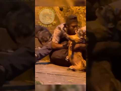 Momen hangat seorang pria bersama peliharaannya😇 #youtubeshorts #shorts #dog #viral