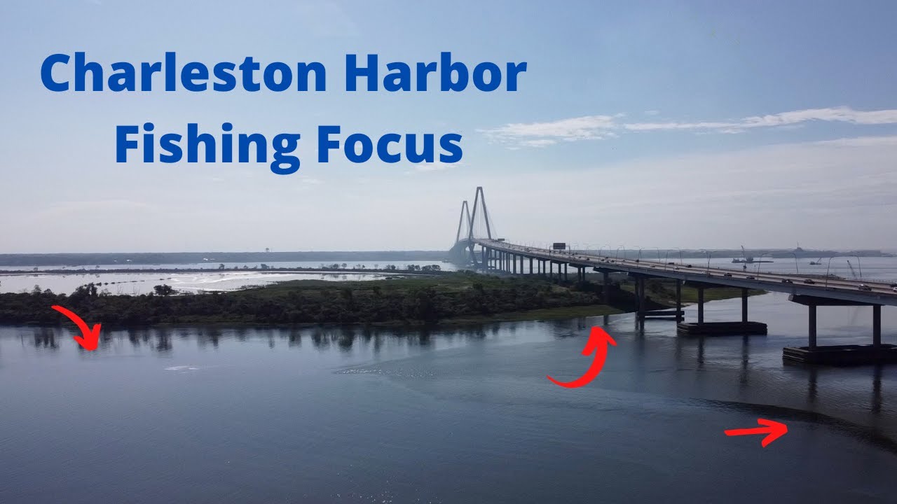 Рыбалка в районе гавани Чарльстона. Часть 1 (выловлено несколько видов рыб)
