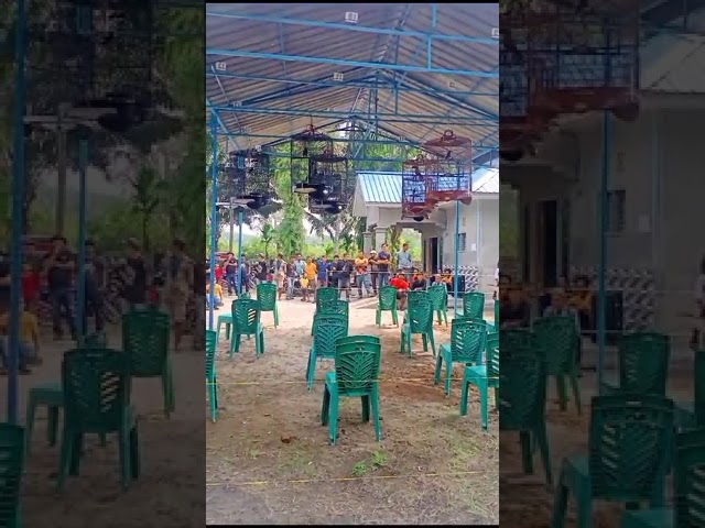 lapangan PKC (pelangi kicau center) class=