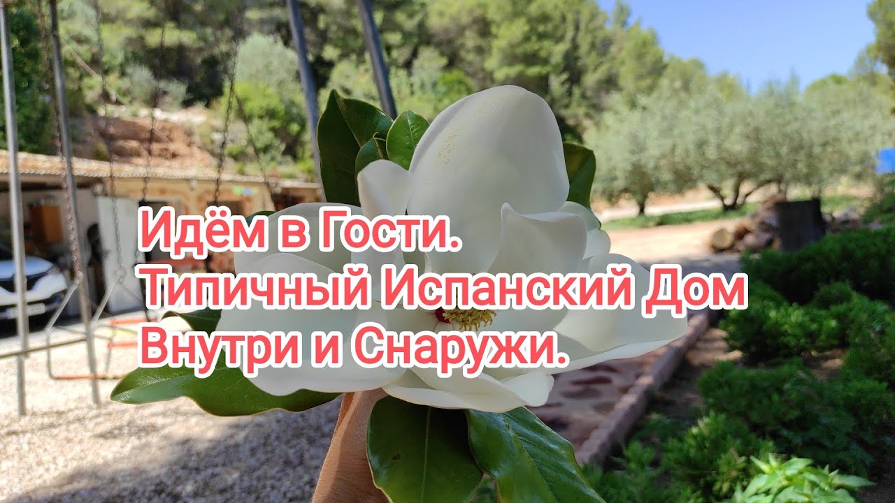 Идём в Гости.Типичный Испанский Дом. Огород. Рецепт Паэльи. Застольные ...