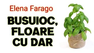 World Record Guinness Book temperament Turn down BUSUIOC, FLOARE CU DAR ☆ De Elena Farago. citește Paul Enache. - YouTube