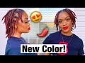 New Loc Color & Hair Update! | VLOGMAS DAY 12