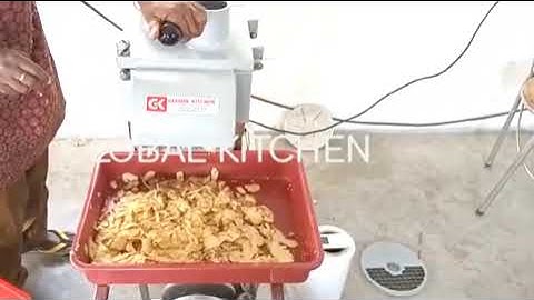 Ginger Slicer(Multipurpose Vegetable Cutting Machine) by GLOBAL KITCHEN EQUIPMENTS COMPANY