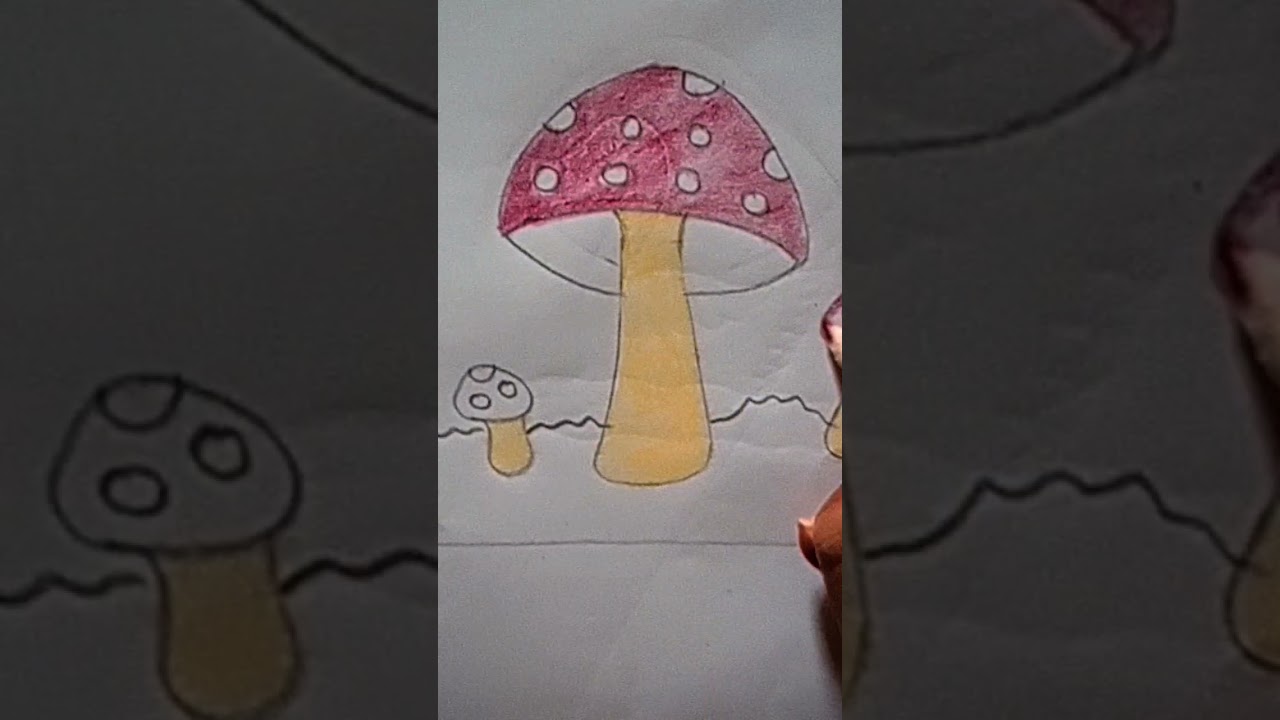 very easy mushroom 🍄 drawing//kinds and beginners 