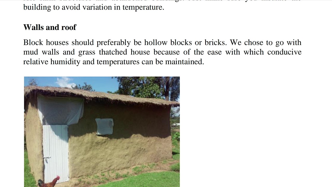 Basic requirements of Mushroom Cultivation YouTube