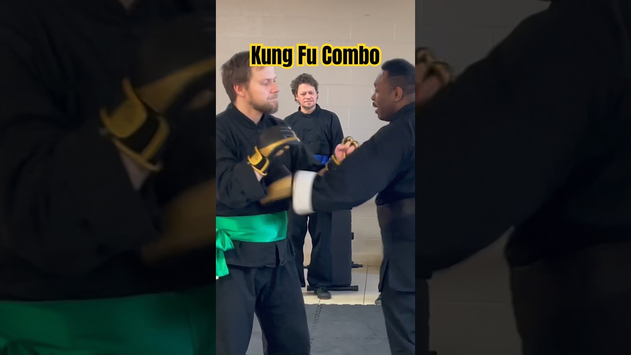 Lion Martial Arts Academy