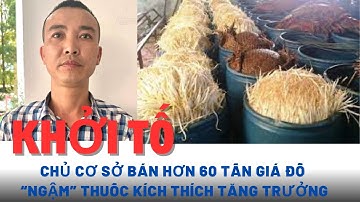 Khởi tố chủ cơ sở bán hơn 60 tấn giá đỗ “ngậm” thuốc kích thích tăng trưởng ra thị trường
