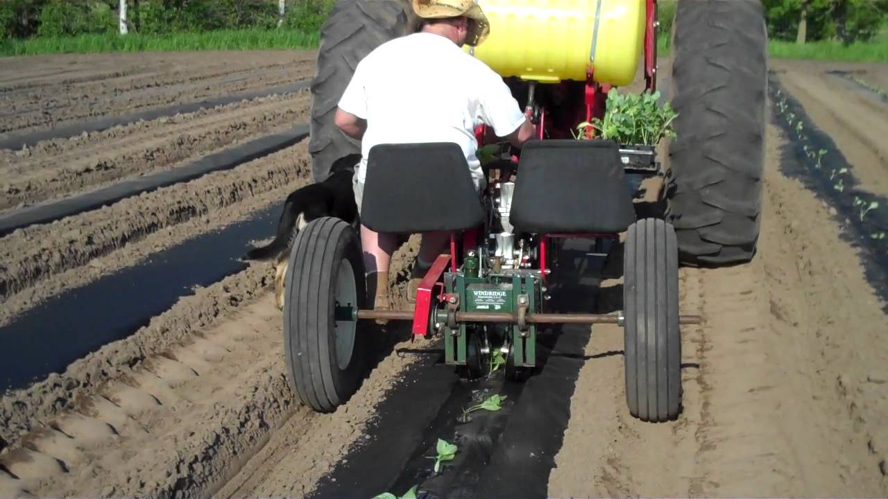 Transplanter - YouTube