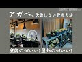 【アガベ塊根】室内でLED?それとも屋外で日光?どっちがいいの?