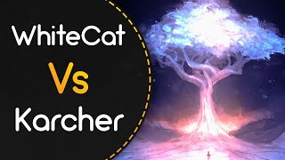 WhiteCat vs Karcher! // Gram vs. Kobaryo - Yggdrasil (vergil chair) [Relentlessness]