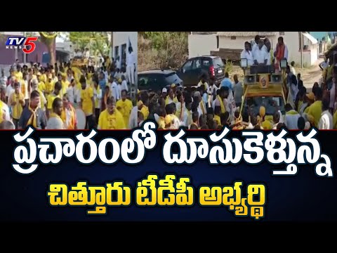 ఇంటింటి ప్రచారం : Chittoor TDP MLA Candidate Jagan Mohan Election Campaign | TV5 News - TV5NEWS