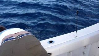Sailfish Attack