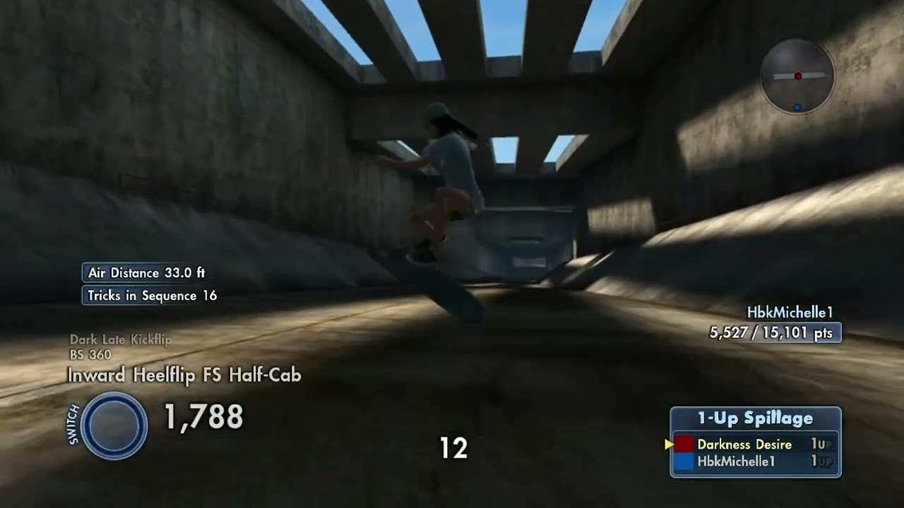Skate 3 spillage 19k