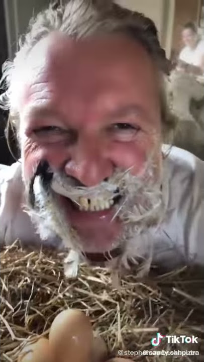 asli lucunya minta ampun | video lucu bikin ngakak |Story WA