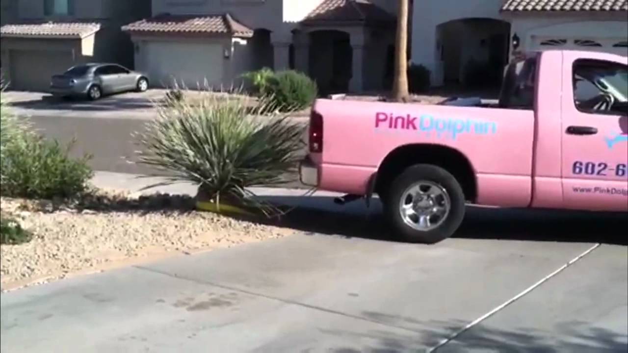 Pink Dolphin Pool Care You Pink Dolphin Pool Care