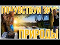 КАКАЯ ОНА РЫБАЛКА В ГЕРМАНИИ 🎣 ГОТОВИМ ВКУСНЕЙШУЮ УХУ С СЕКРЕТОМ 🥘