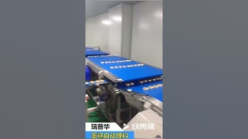 Ruipuhua Layer Cake Swiss roll bread Full automatic packaging line flow wrap Packing machine